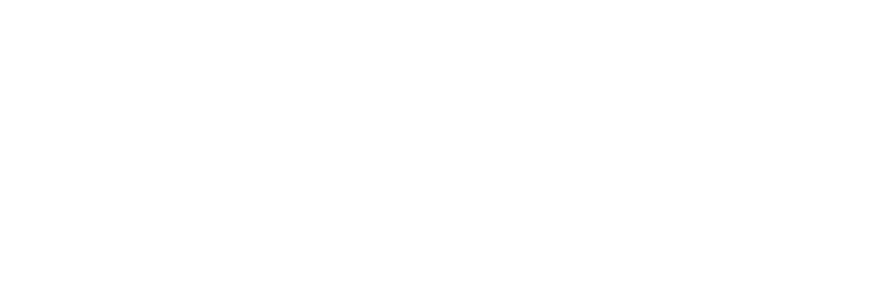 ICT Bedrijf